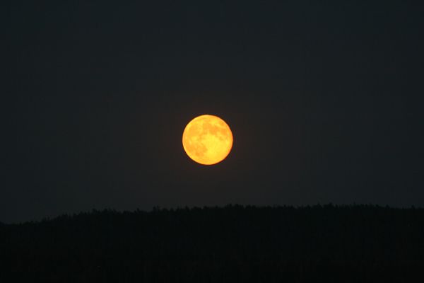 img_5153.jpg