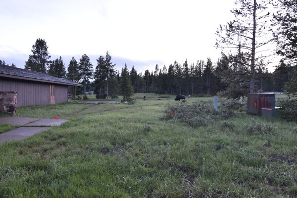 DSC_1699.JPG
