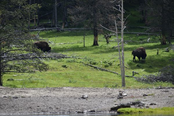 DSC_1708.JPG