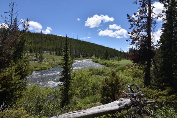 DSC_1777.JPG