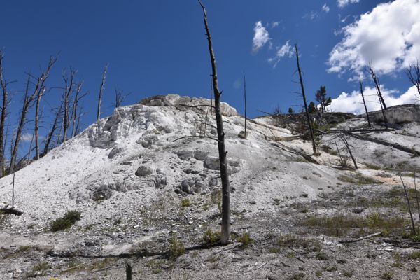 DSC_1866.JPG