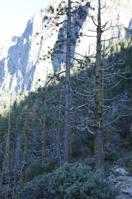 DSC_0070.JPG