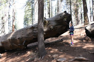 DSC_9633.JPG