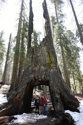 DSC_9649.JPG