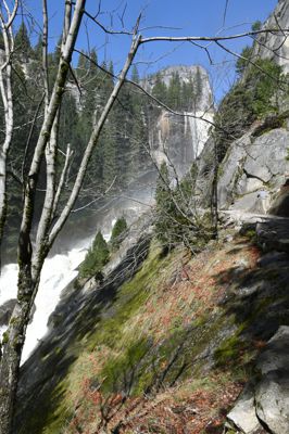 DSC_9750.JPG