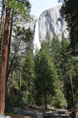DSC_9795.JPG
