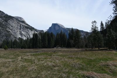 DSC_9865.JPG