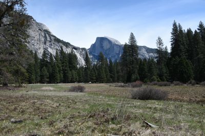 DSC_9883.JPG