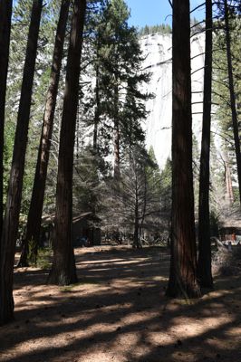 DSC_9895.JPG