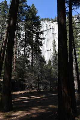 DSC_9899.JPG