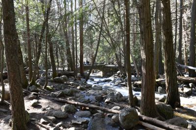 DSC_9964.JPG