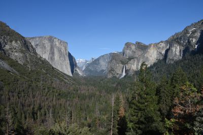 DSC_9984.JPG