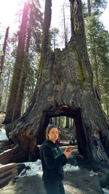 IMG_20180408_115708242_HDR.jpg