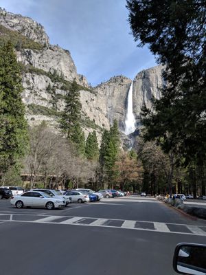 IMG_20180409_103035.jpg