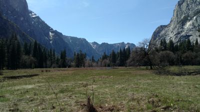 IMG_20180409_131004981.jpg