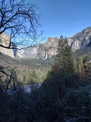 IMG_20180409_172304.jpg
