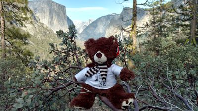 IMG_20180409_173429376_HDR.jpg