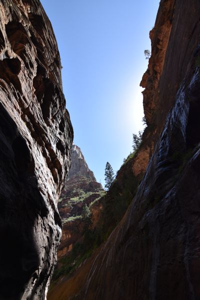 DSC_5840.JPG