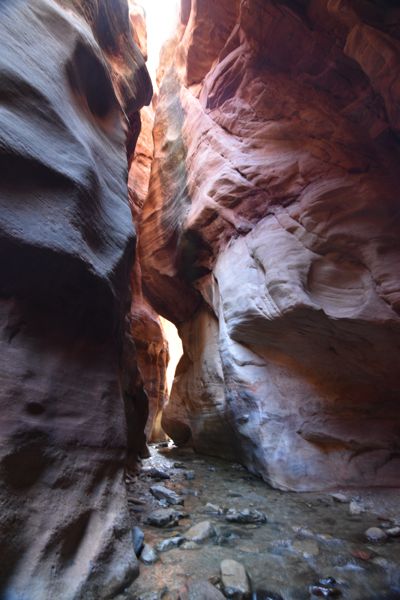 DSC_5922.JPG