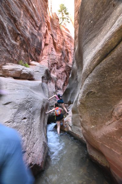 DSC_5931.JPG