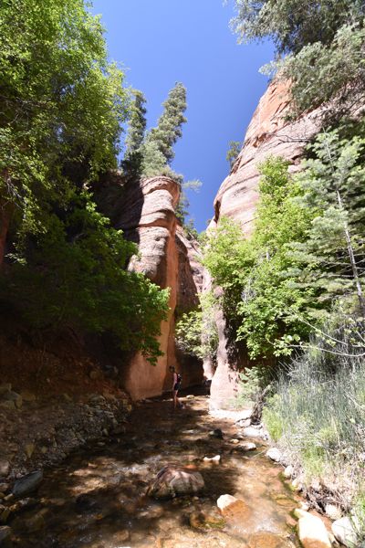 DSC_5954.JPG