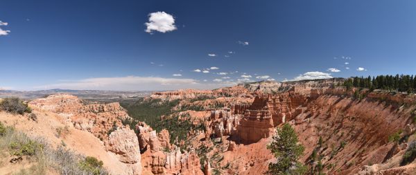 DSC_6011-DSC_6013.jpg