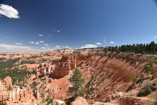 DSC_6011.JPG