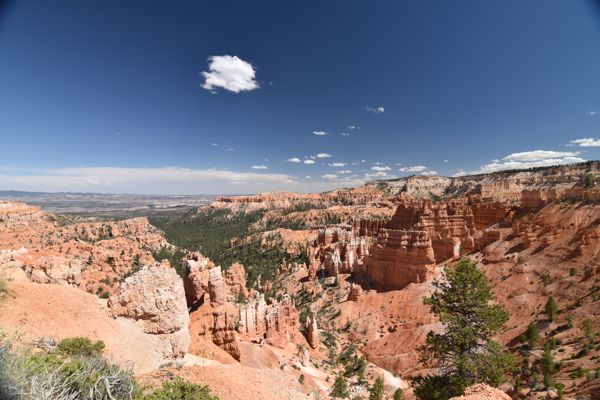DSC_6012.JPG
