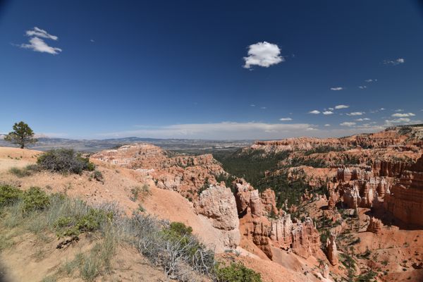 DSC_6013.JPG