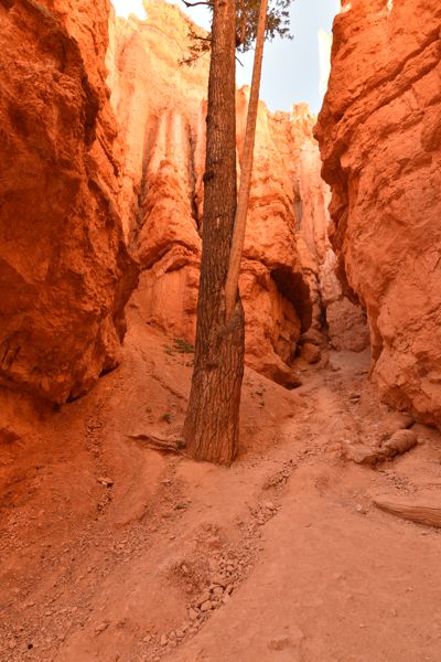 DSC_6043.JPG