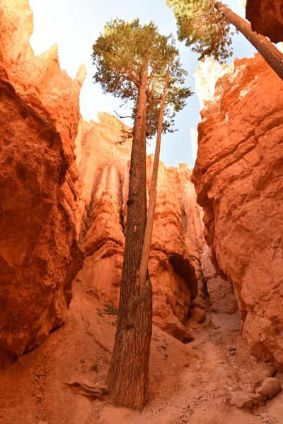 DSC_6044.JPG