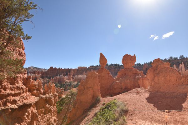 DSC_6065.JPG