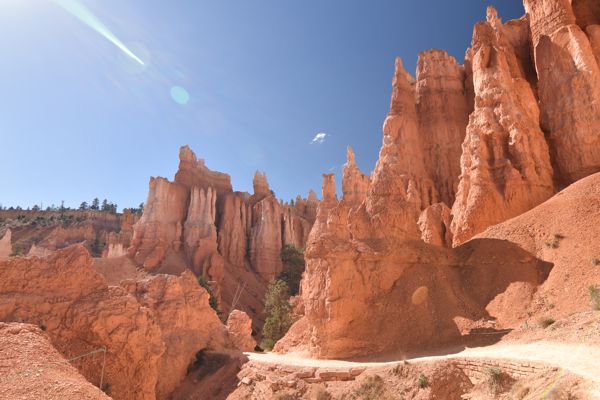 DSC_6066.JPG