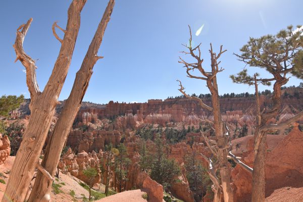 DSC_6069.JPG