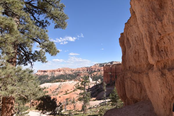 DSC_6071.JPG