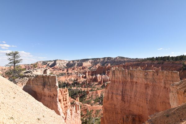 DSC_6074.JPG