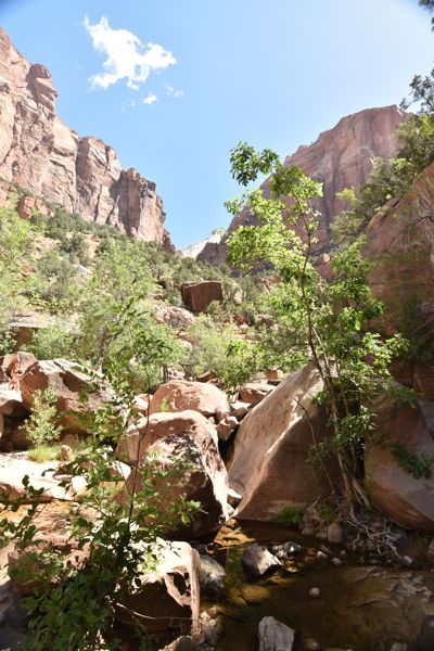 DSC_6164.JPG