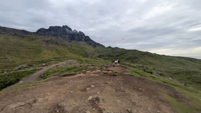 PXL_20260625_074738165.jpg