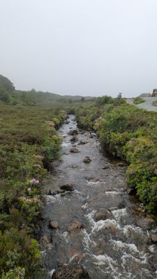PXL_20260626_082954367.jpg