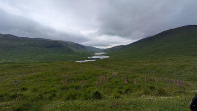 PXL_20260627_120759580.jpg