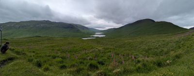 PXL_20260627_120823675_pano.jpg