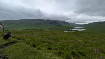 PXL_20260627_120831475.jpg